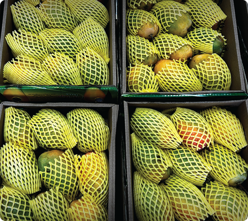 Mango (Alphonso) - Fruits | indian grocery store in kingston
