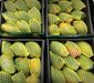 Mango(Kesar) - Fruits | indian pooja store near me