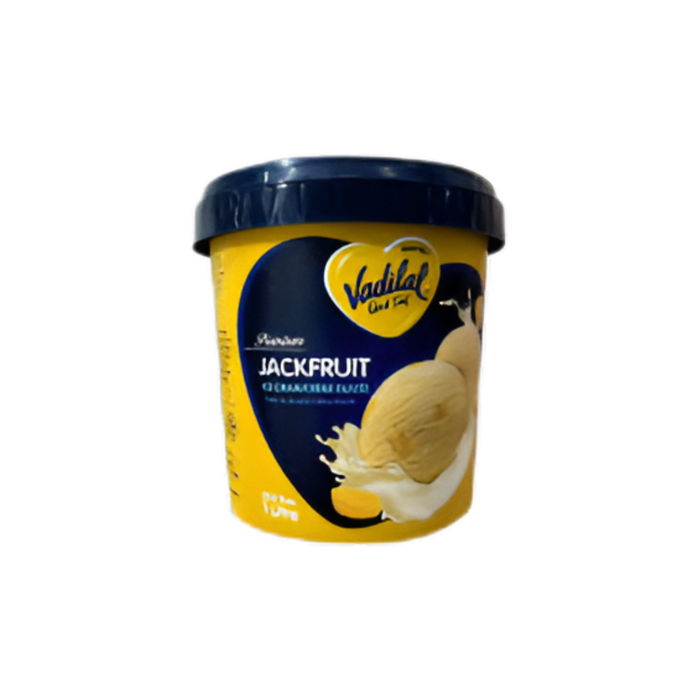 Vadilal Jackfruit Ice Cream 1L