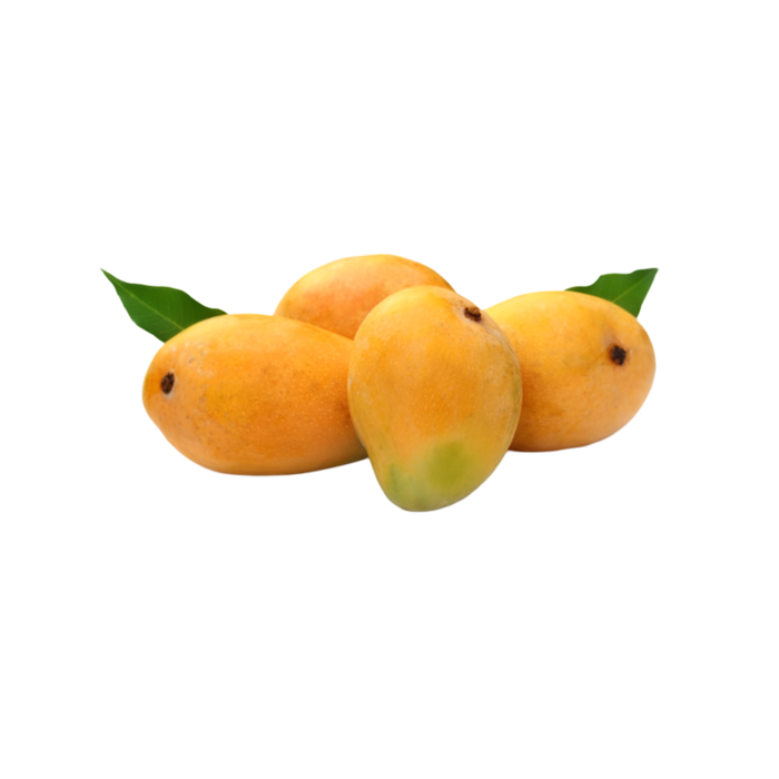Fresh Alphonso Mango 12 Pcs