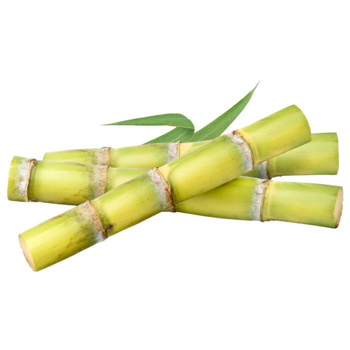 Sugarcane 1pc