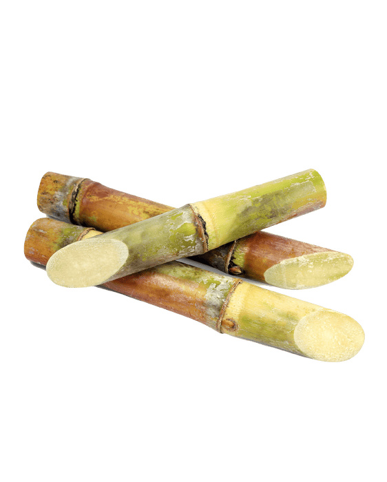 Sugarcane - Vegetables - Spice Divine Canada