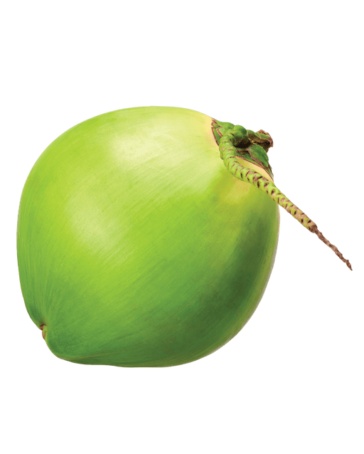 Green Coconut - Vegetables | indian grocery store in Quebec City