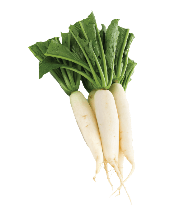 Daikon (Muli, White Radish) - Vegetables | indian grocery store in St. John's