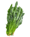Spinach (Palak) - Vegetables - Spice Divine