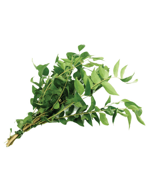 Curry Leaf - Vegetables | indian grocery store in Charlottetown