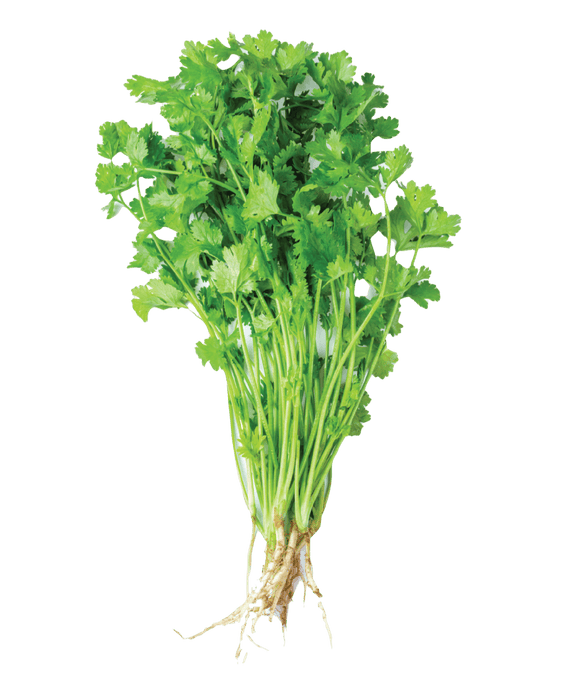 Coriander - Vegetables - east indian supermarket