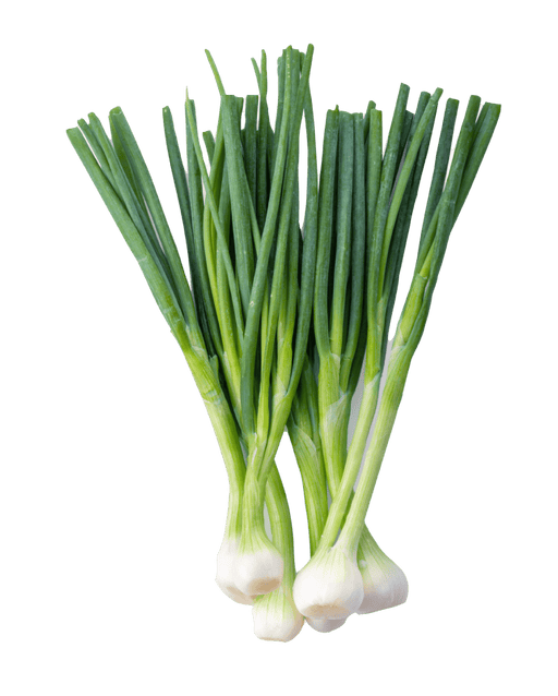 Green Onion - Vegetables - indian grocery store kitchener