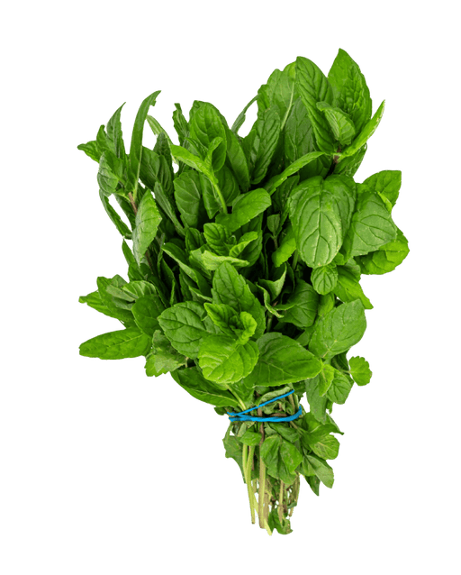 Mint Leaf - Vegetables - indian supermarkets near me
