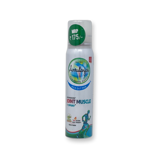 Amrutanjan Joint Muscle Spray 80ml - Health Care | indian grocery store in niagara falls