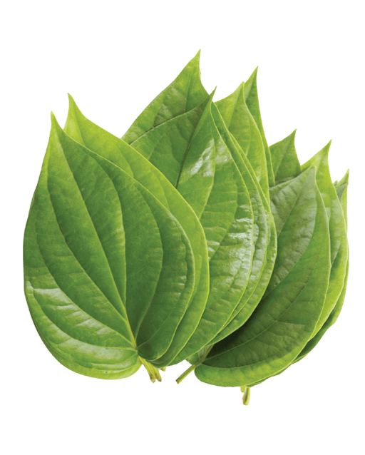 Paan leaf (Bettle Leaf) (10pcs) - Vegetables | indian grocery store in whitby