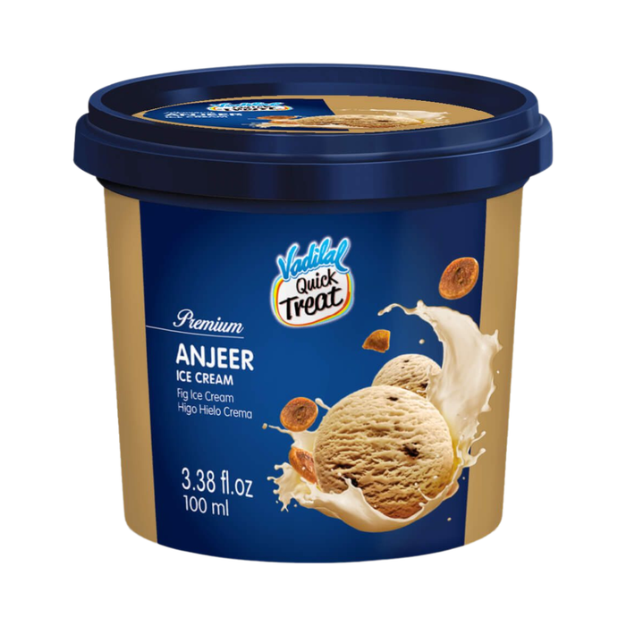 Vadilal Anjeer Ice Cream